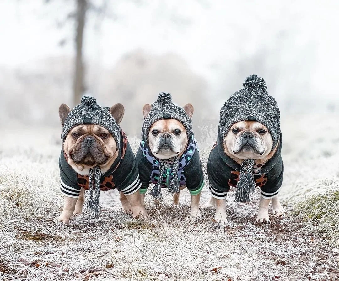 Pawtique Fashion Classic Knitted Beanie