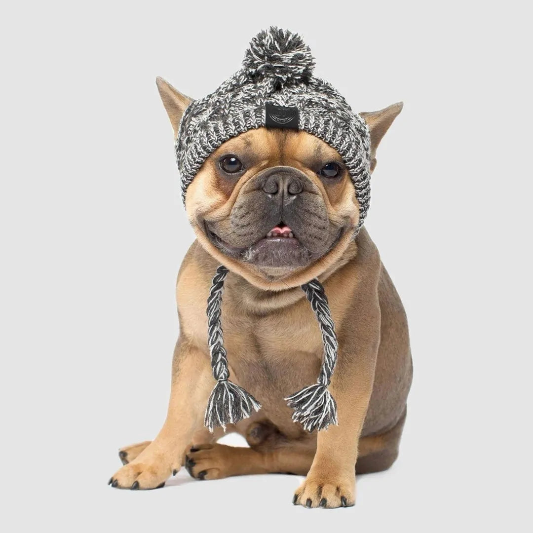 Pawtique Fashion Classic Knitted Beanie