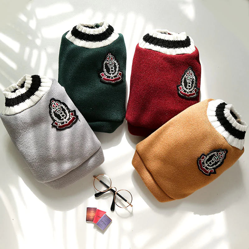 Pawtique Fashion Varsity Knitted Pullover