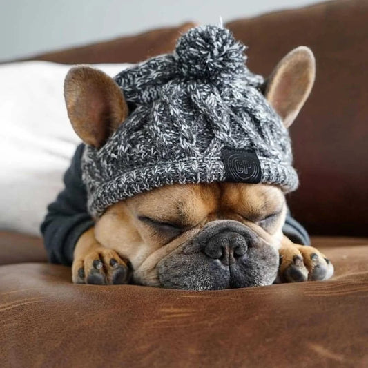 Pawtique Fashion Classic Knitted Beanie