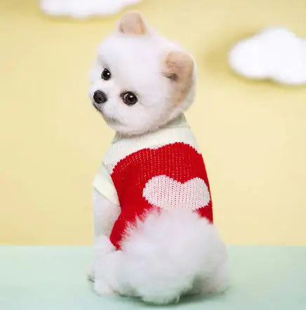 Pawtique Fashion Throwback Floral Pet Sweater